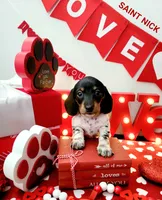 processed/7741af44-04b7-406b-8b7d-6701cd686c3b/listing/0f9ee2e8-71f9-4da5-9137-738da7f64e90/aff60b70-c728-49ab-9d53-57d0b1ab3c8f