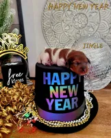 Jingle, a male Miniature Dachshund for sale in Thornton, CO – Photo 10 of 10