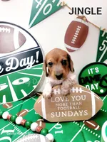 Jingle, a male Miniature Dachshund for sale in Thornton, CO – Photo 7 of 10