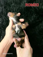 processed/7741af44-04b7-406b-8b7d-6701cd686c3b/listing/986e09f6-e691-4277-b80f-e915d8d4ca08/3620a5cd-c420-4298-8196-a0038eb4ccba