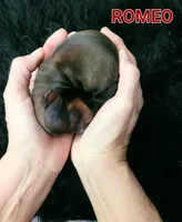 processed/7741af44-04b7-406b-8b7d-6701cd686c3b/listing/986e09f6-e691-4277-b80f-e915d8d4ca08/9a467398-6a76-496a-8348-401021730a7f