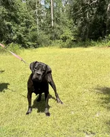 processed/7743b085-de48-49a4-93b6-5bfa13698fc6/listing/533bfd25-e383-4e25-964f-1623ad52a868/bf05ef4c-1f86-4ce4-be3e-279573721229