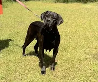 processed/7743b085-de48-49a4-93b6-5bfa13698fc6/listing/533bfd25-e383-4e25-964f-1623ad52a868/bf9d4757-027c-4001-a464-bcb15ea89338