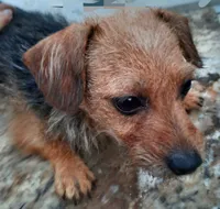 processed/774955e2-357e-414c-a692-bb8a42ce4d65/listing/09f2880e-a493-4036-8495-71e7fd90106a/36014a62-c8c4-44b8-bb19-1e4875bcf27f