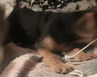 processed/774955e2-357e-414c-a692-bb8a42ce4d65/listing/09f2880e-a493-4036-8495-71e7fd90106a/38b68062-3299-49e6-a397-a75b672853be