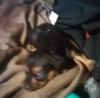 processed/774955e2-357e-414c-a692-bb8a42ce4d65/listing/09f2880e-a493-4036-8495-71e7fd90106a/5180353b-a278-42a0-bc09-bf58b9322dd7