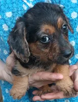 processed/774955e2-357e-414c-a692-bb8a42ce4d65/listing/09f2880e-a493-4036-8495-71e7fd90106a/90b332a7-16f9-428b-b44d-55fa37236ce9