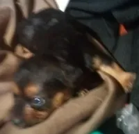 processed/774955e2-357e-414c-a692-bb8a42ce4d65/listing/09f2880e-a493-4036-8495-71e7fd90106a/9c91d7ff-aeea-455e-8ee6-5073d402a53a