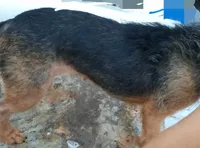 processed/774955e2-357e-414c-a692-bb8a42ce4d65/listing/09f2880e-a493-4036-8495-71e7fd90106a/b9f22ada-283a-4932-b59e-b53b0a1901e7