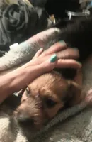 processed/774955e2-357e-414c-a692-bb8a42ce4d65/listing/09f2880e-a493-4036-8495-71e7fd90106a/eb11df1b-1b9f-4928-82cf-f8eef741ea0f