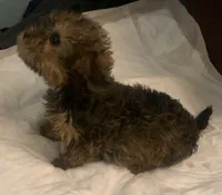 processed/774955e2-357e-414c-a692-bb8a42ce4d65/listing/2064feb5-ab6b-424e-8271-264f52bb0da9/6a9c2cdb-5bff-4b29-8ade-598b27b8bba9