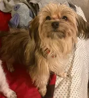 processed/774955e2-357e-414c-a692-bb8a42ce4d65/listing/2064feb5-ab6b-424e-8271-264f52bb0da9/7db6732f-e51a-474d-a236-e21fb0ebe213