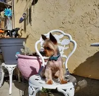 processed/774955e2-357e-414c-a692-bb8a42ce4d65/listing/2064feb5-ab6b-424e-8271-264f52bb0da9/8d55dfe4-b7b5-495c-a1b0-515010db69ce