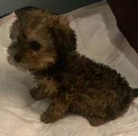 processed/774955e2-357e-414c-a692-bb8a42ce4d65/listing/2064feb5-ab6b-424e-8271-264f52bb0da9/eae8e678-291e-4a5c-bac6-362753b39170