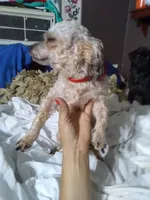 processed/774955e2-357e-414c-a692-bb8a42ce4d65/listing/2064feb5-ab6b-424e-8271-264f52bb0da9/efa2b977-1c3d-4f79-989c-e6a958e85670