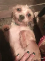 processed/774955e2-357e-414c-a692-bb8a42ce4d65/listing/78ac62c4-1a5d-433f-8253-f9efee3ff18c/273d5d28-c41d-4168-accd-2f59d4d8b5d8