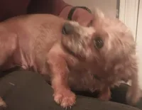 processed/774955e2-357e-414c-a692-bb8a42ce4d65/listing/78ac62c4-1a5d-433f-8253-f9efee3ff18c/45fb4ea6-3d51-4aaa-b21d-499f53996c2c