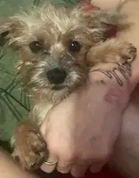 processed/774955e2-357e-414c-a692-bb8a42ce4d65/listing/78ac62c4-1a5d-433f-8253-f9efee3ff18c/99aed47a-d275-480b-bfd9-5dc13124165d