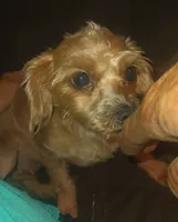 processed/774955e2-357e-414c-a692-bb8a42ce4d65/listing/78ac62c4-1a5d-433f-8253-f9efee3ff18c/a249f99b-8f19-447a-b60e-bbec5c5e00e7