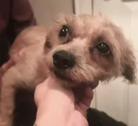 processed/774955e2-357e-414c-a692-bb8a42ce4d65/listing/78ac62c4-1a5d-433f-8253-f9efee3ff18c/c8c22bf0-9b14-419b-9cac-52a0c1643edc