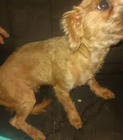 processed/774955e2-357e-414c-a692-bb8a42ce4d65/listing/78ac62c4-1a5d-433f-8253-f9efee3ff18c/e9056d93-67a8-4019-a1d1-2323c293d8a2