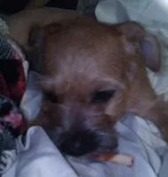 processed/774955e2-357e-414c-a692-bb8a42ce4d65/listing/78ac62c4-1a5d-433f-8253-f9efee3ff18c/f13b09f9-3374-4681-8ae6-5516811fb98a