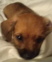 processed/774955e2-357e-414c-a692-bb8a42ce4d65/listing/78ac62c4-1a5d-433f-8253-f9efee3ff18c/fdd65f8a-c504-4ef3-8f0e-53c3292f4d30