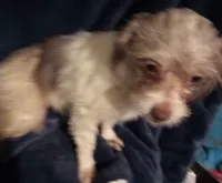 processed/774955e2-357e-414c-a692-bb8a42ce4d65/listing/d944060f-13c8-4a1b-b8ab-58d150f1e5b4/18141969-2969-4ed7-a3ab-d0b630f9fcec