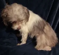 processed/774955e2-357e-414c-a692-bb8a42ce4d65/listing/d944060f-13c8-4a1b-b8ab-58d150f1e5b4/6e9be07a-0f00-48e7-a34a-c864a8b284b9