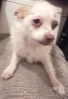 processed/774955e2-357e-414c-a692-bb8a42ce4d65/listing/ed4ad3f9-42f2-48d6-950e-ac1f66ed06bb/bcca0500-5cf5-4147-8b6c-998ea2b24ee2