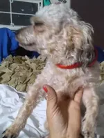 processed/774955e2-357e-414c-a692-bb8a42ce4d65/listing/f0ef02dd-b1b5-411c-8f70-9a55dfcec1e9/662a1cf0-1cf2-47c3-8c6f-1245aa2445d1