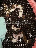 Polka Dot, a female Miniature Dachshund for sale in New Caney, TX – 1 of 1