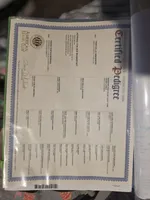 AKC Hislops Rottiez, a male Rottweiler for sale in North Muskegon, MI – Photo 7 of 7