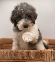 processed/774f2683-3542-41a0-8f6c-48e0fa56060e/listing/2290937d-5f4c-413e-96c9-1ee55a9ed0b2/33e4ac45-2144-4739-9100-be2be36b203e