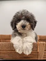 processed/774f2683-3542-41a0-8f6c-48e0fa56060e/listing/2290937d-5f4c-413e-96c9-1ee55a9ed0b2/5932884a-ceec-48e7-8170-6bdf1b3eb5af