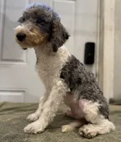 processed/774f2683-3542-41a0-8f6c-48e0fa56060e/listing/2290937d-5f4c-413e-96c9-1ee55a9ed0b2/5b45d6b8-abfd-4e75-9948-b75c554ac21b