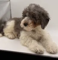 processed/774f2683-3542-41a0-8f6c-48e0fa56060e/listing/2290937d-5f4c-413e-96c9-1ee55a9ed0b2/656366ed-526b-4d01-b47f-dd182834edbd