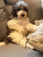 processed/774f2683-3542-41a0-8f6c-48e0fa56060e/listing/2290937d-5f4c-413e-96c9-1ee55a9ed0b2/b32229e2-fd0c-4404-b36c-98fcb1f652fe