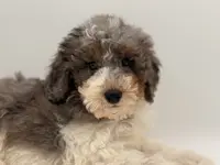 processed/774f2683-3542-41a0-8f6c-48e0fa56060e/listing/2290937d-5f4c-413e-96c9-1ee55a9ed0b2/d4975d85-9290-484c-8392-63492e360ae3