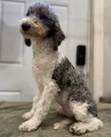 processed/774f2683-3542-41a0-8f6c-48e0fa56060e/listing/2290937d-5f4c-413e-96c9-1ee55a9ed0b2/fa13185d-d33e-4523-b930-e61b5845970e