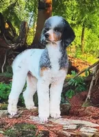 processed/774f2683-3542-41a0-8f6c-48e0fa56060e/listing/617c9c55-8ffc-4e9d-a6c9-e00c9985152d/3fb2632b-5130-456f-a206-b5112070f205