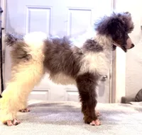 processed/774f2683-3542-41a0-8f6c-48e0fa56060e/listing/bb9bcebf-a38f-4f17-8604-6e94ad490be4/df9d9a8e-049b-4ed2-9702-4ba74a11f5d9