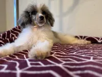 processed/774f2683-3542-41a0-8f6c-48e0fa56060e/listing/cd0c5f1e-d5c1-4209-96cc-b0f27e5591a0/906547f3-b180-43df-9f28-45781f9723f0