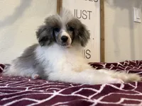 processed/774f2683-3542-41a0-8f6c-48e0fa56060e/listing/cd0c5f1e-d5c1-4209-96cc-b0f27e5591a0/a0039a5a-cce7-4569-9587-000fdacd7dae