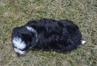 processed/7756db7e-fa5e-4e8e-9990-92d2723f74e8/listing/f6b16c9a-c9d8-440a-9634-02da806ba3fb/26b0b244-e689-4cd8-a2c5-cca79b22dc21