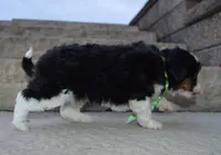 processed/7756db7e-fa5e-4e8e-9990-92d2723f74e8/listing/f6b16c9a-c9d8-440a-9634-02da806ba3fb/4fa778f5-5b80-46a3-9141-37f0fc3da19b