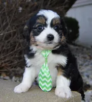 processed/7756db7e-fa5e-4e8e-9990-92d2723f74e8/listing/f6b16c9a-c9d8-440a-9634-02da806ba3fb/752c3015-410e-4b49-9336-2ac0a1c65333