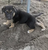 processed/77601447-d180-4ce5-9743-0043a851a74a/listing/372b174d-7d0e-49ad-9a29-ebe3404314cf/79d77d2f-5380-4146-b605-e3ce75803fd6