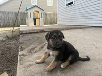 processed/77601447-d180-4ce5-9743-0043a851a74a/listing/372b174d-7d0e-49ad-9a29-ebe3404314cf/e4fc745b-e3be-4107-8c4b-6eeef3e97b99