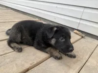 processed/77601447-d180-4ce5-9743-0043a851a74a/listing/fd8fa883-38fd-413b-8f8b-05de2bb08015/5b894443-240f-4c07-ad02-e6b450a3d2f8